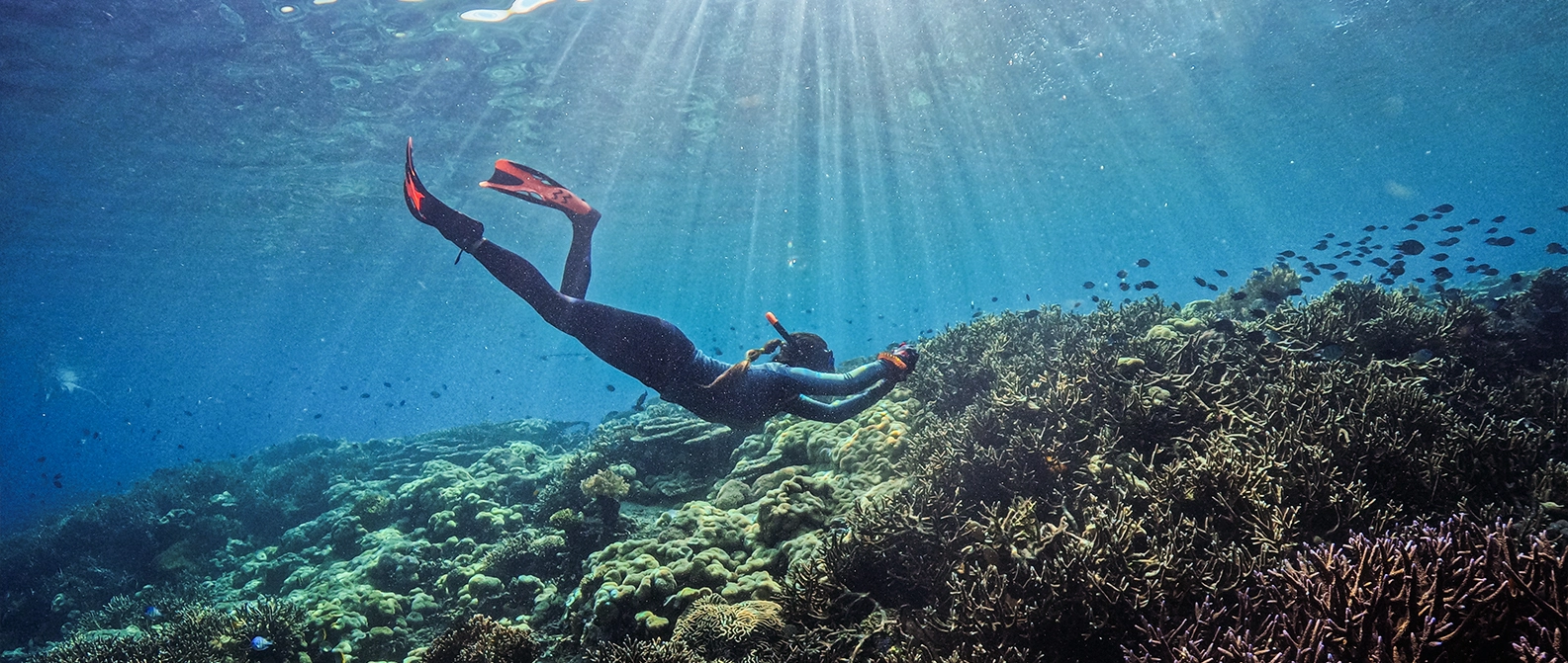 Group of snorkelers drifting over coral reef in Tatawa Besar.
